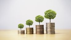 small trees growing on piles of coins
