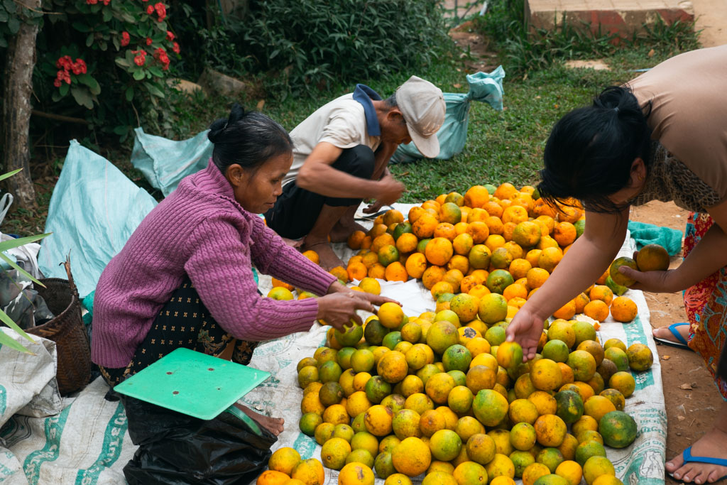 People selling and buting fruits in Nong Khiaw.