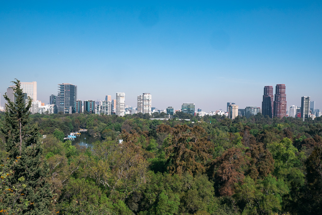 An elevated view of Chapultepec Forest, Mexico city with a city skyline in the background