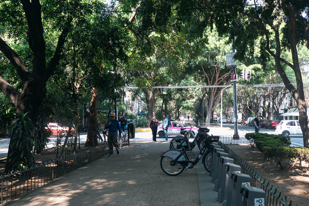 Tree-lined walkway with parked bikes and people in Roma, Mexico, alongside a street with cars.
